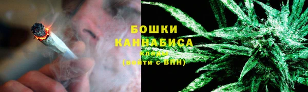 стаф Дмитров