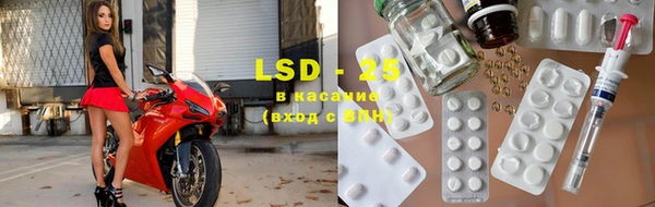 стаф Дмитров