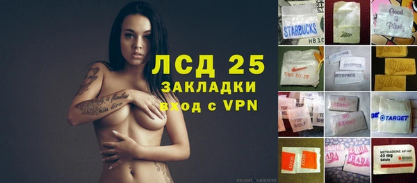 стаф Дмитров