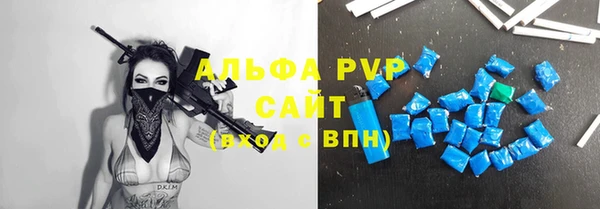 стаф Дмитров