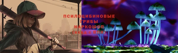 стаф Дмитров