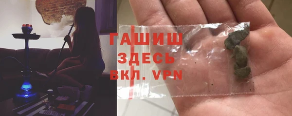 стаф Дмитров