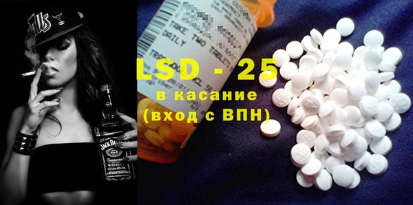 стаф Дмитров