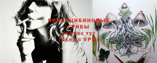 стаф Дмитров