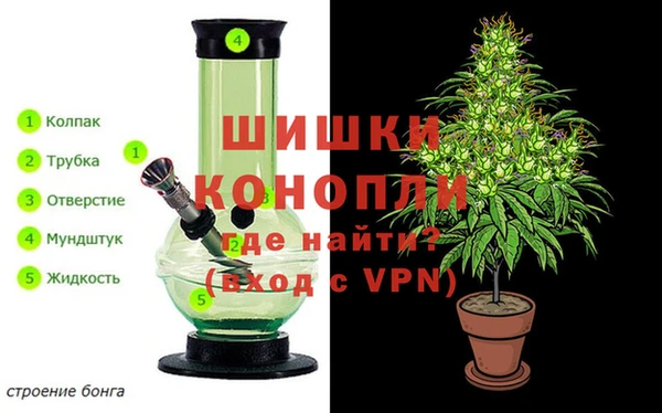 ALPHA PVP Дмитриев