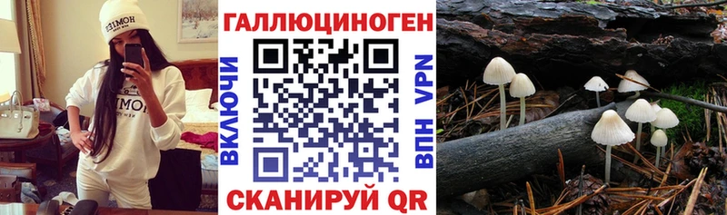 Псилоцибиновые грибы Psilocybe  Дятьково 