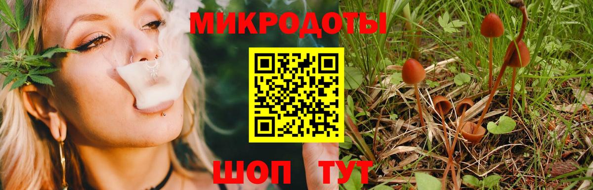 Дятьково  купить закладку  Вход с VPN  Галлюциногенные грибы мицелий  Псилоцибиновые грибы Cubensis 